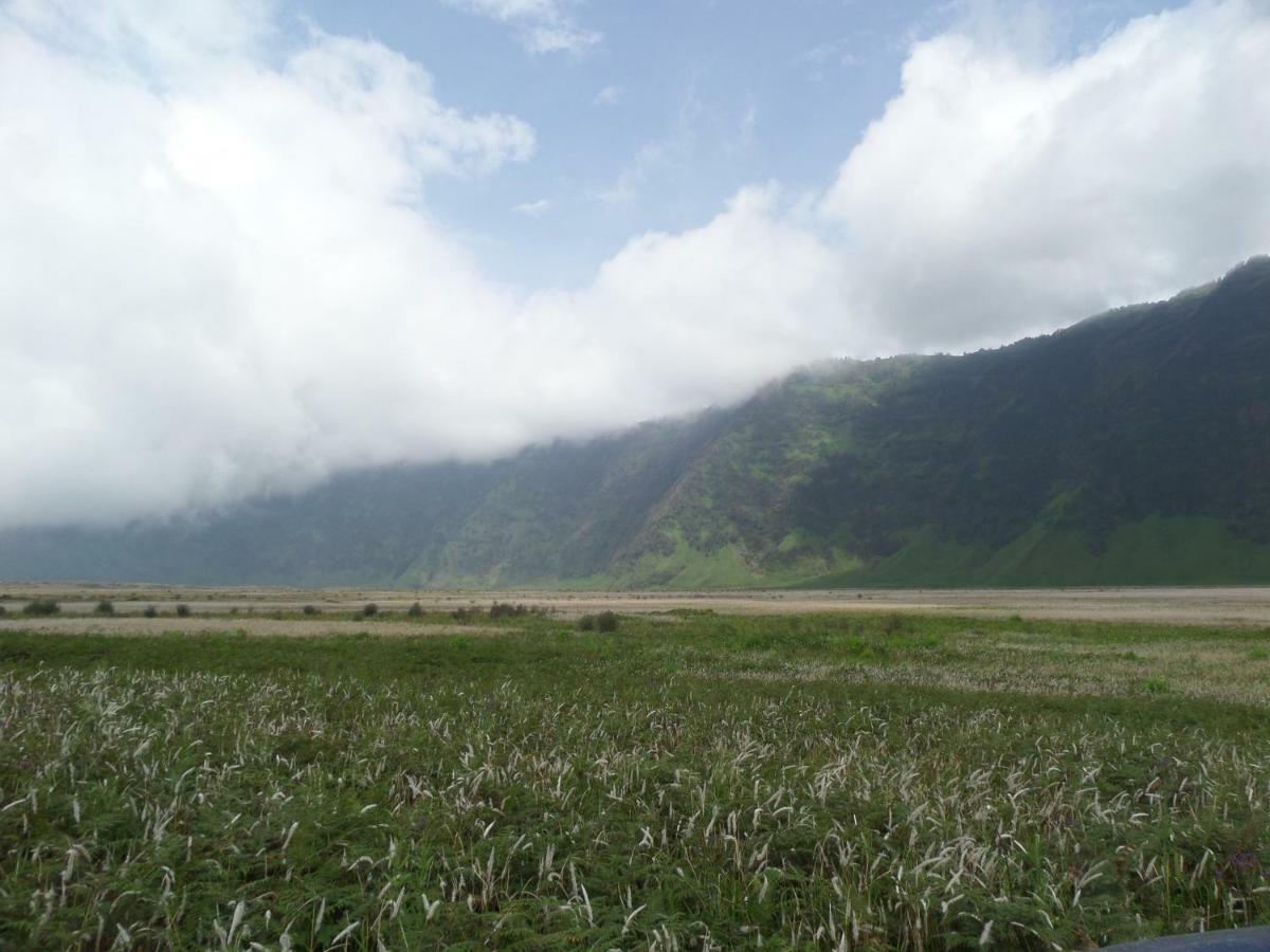 Отель Bromo Permai 1 Экстерьер фото